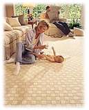 Post image for Protecting Your Carpet-Part One