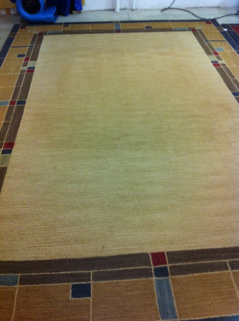 tufted rug cleaning ripple removal