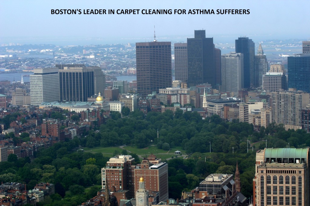 carpet cleaning boston area-savings