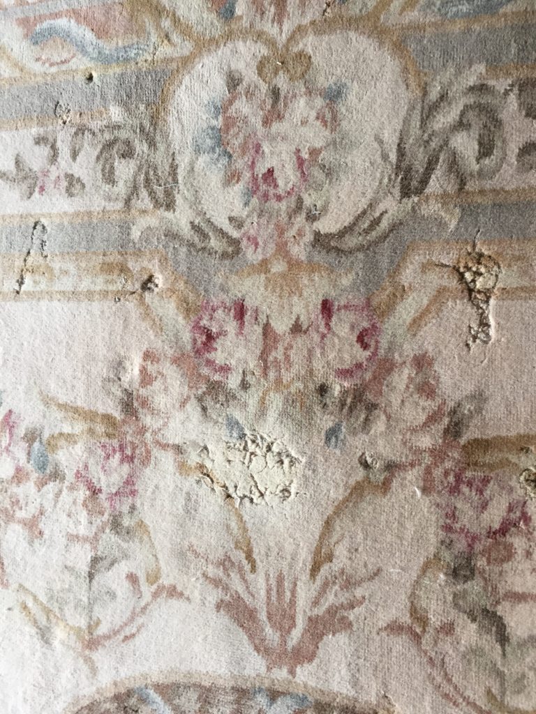 How To Spot Moth Damage on an Oriental Rug