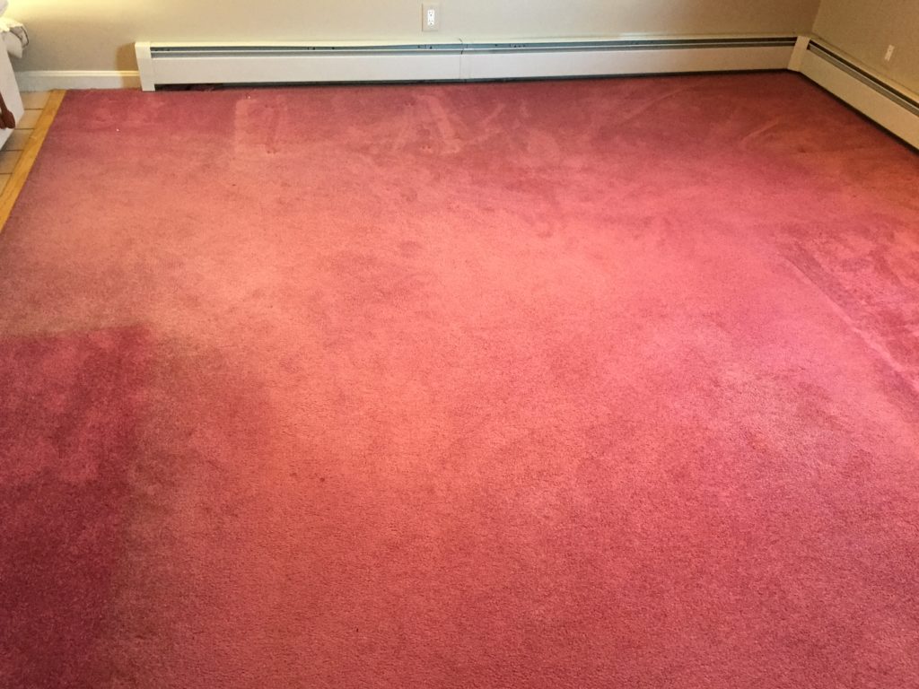 Carpet Dyeing